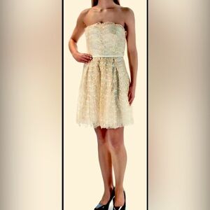 BCBGeneration Cream Strapless  Lace Sundress Cocktail